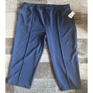 Women's High-Rise Wide Leg Pull-On Pants - A New Day 4X NWT